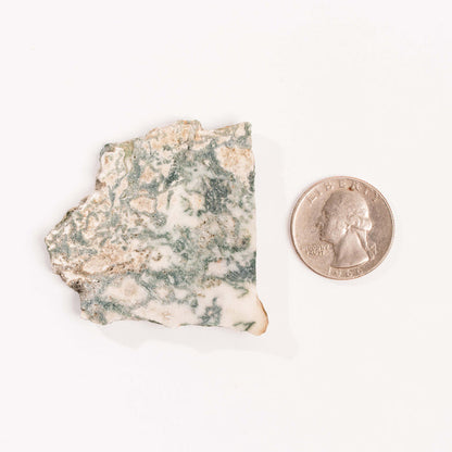 Agate, Tree - Small Slab