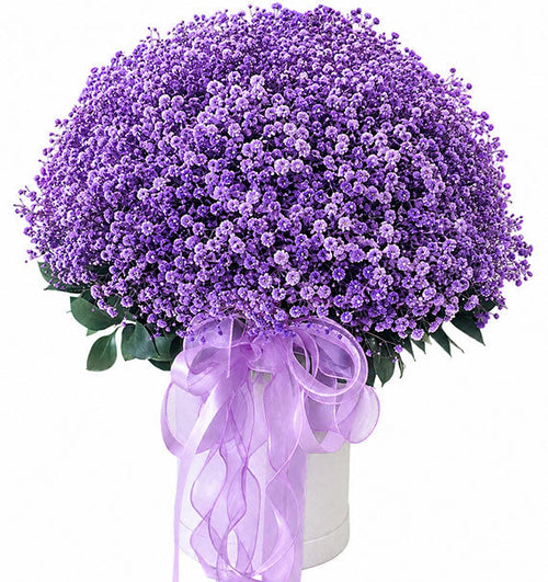 Blooming Baby’s Breath Basket Vietnam