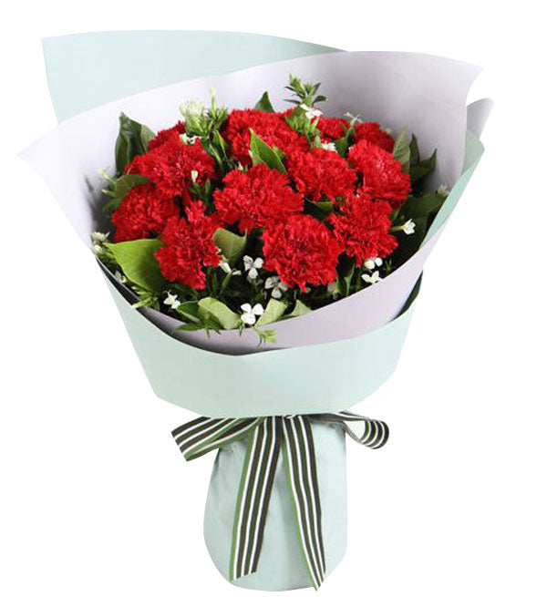 Carnation Flower 14 - Vietnamese Flowers