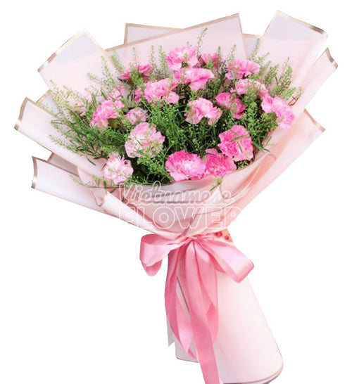 Carnation Flower 17 - Vietnamese Flowers