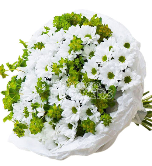 Daisy Flower 20 - Vietnamese Flowers