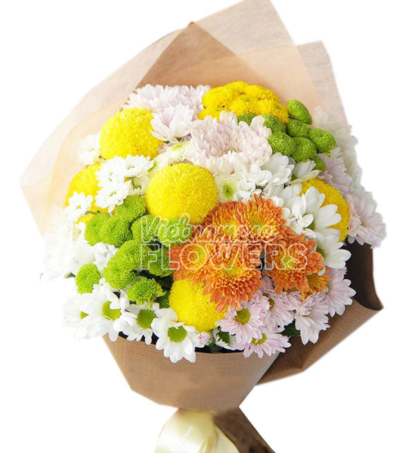 Daisy Flower 23 - Vietnamese Flowers