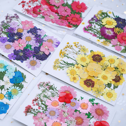Dried Pressed Flowers Resin Accessories