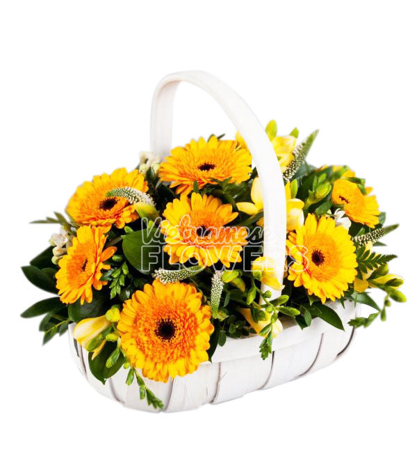 Gerbera Flowers 06 - Vietnamese Flowers