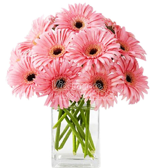 Gerbera Flowers 10 - Vietnamese Flowers