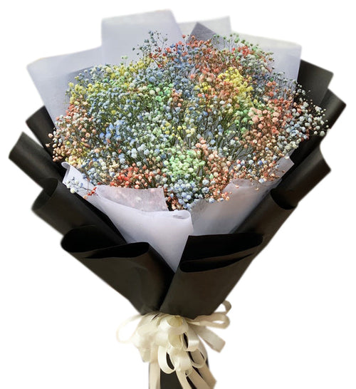 Gypsophila Baby's Breath 16 - Vietnamese Flowers