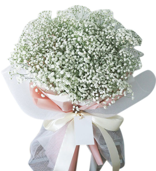 Gypsophila Baby's Breath 24 - Vietnamese Flowers
