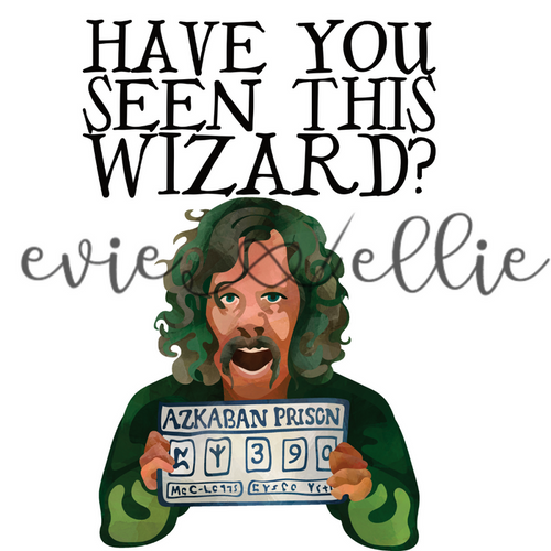 Have You Seen This Wizard Sub