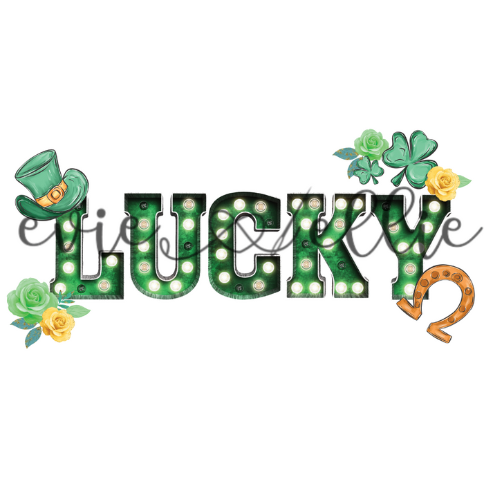 Lucky Sub-- Multiple Options