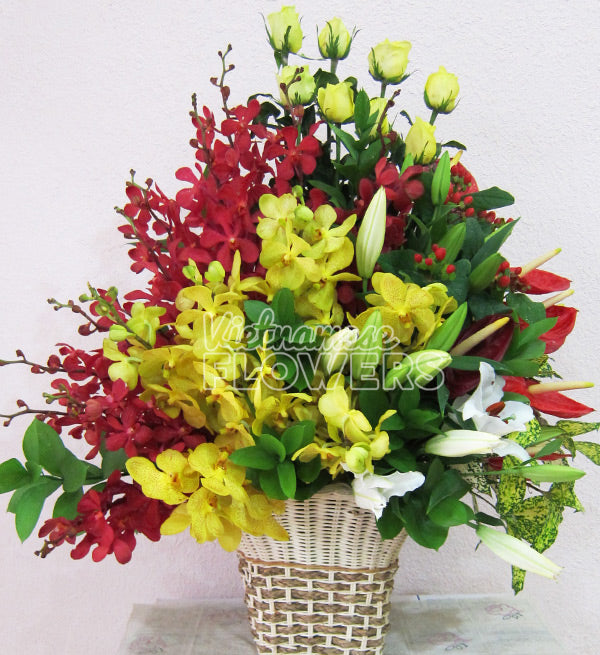 Mixed Orchid Flowers Vietnam - Vietnamese Flowers