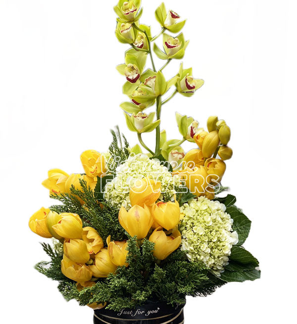 Mixed Orchids #3 - Vietnamese Flowers