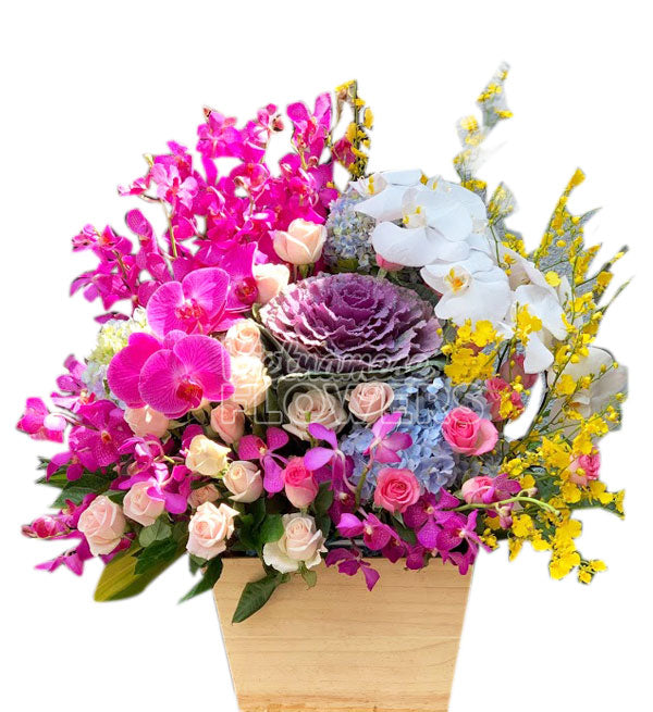 Mixed Orchids #4 - Vietnamese Flowers