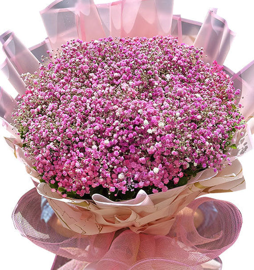 Pink Baby’s Breath Bouquet Vietnam