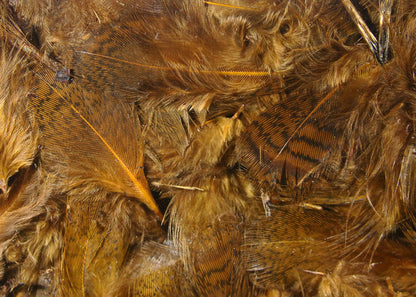 Premium Partridge Feathers by Hareline Dubbin, Inc for fly tying at Freestone Fly Shop Montana Fly Fishing Outfitter