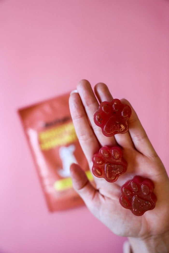 Raw Pawz Red Velvet DIY Gummies - Digestion Immunity
