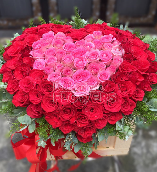 Roses In Vietnam - Vietnamese Flowers