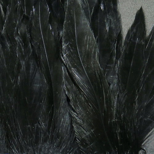 Schlappen 5-7 inch feathers by Hareline Dubbin, Inc for fly tying projects at Freestone Fly Shop