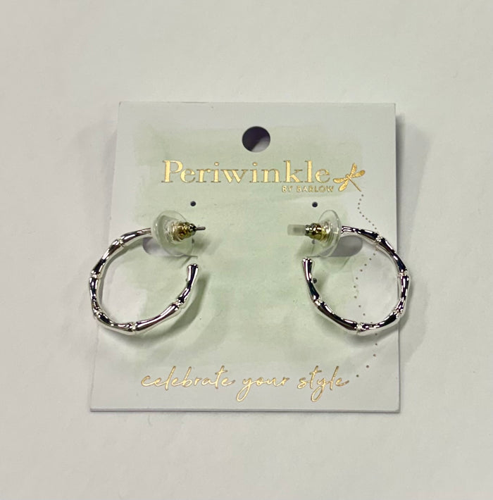 Silver Hoop Earrings