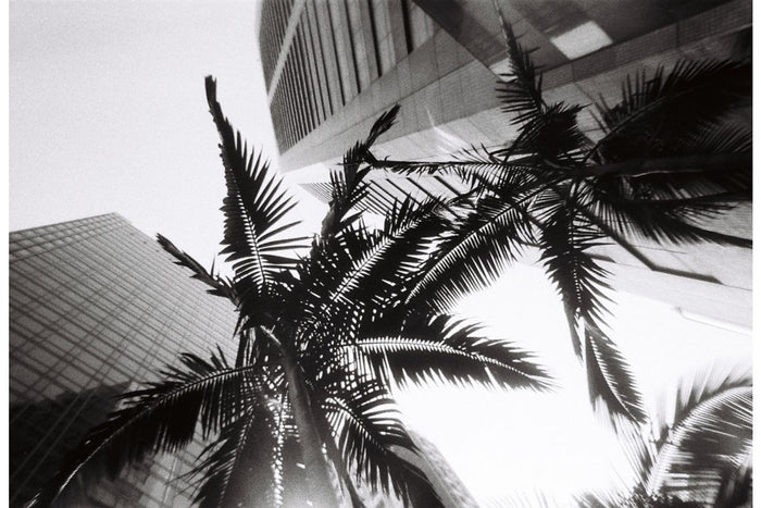 Simple Use Reloadable Film Camera Black & White