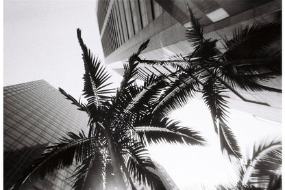 Simple Use Reloadable Film Camera Black & White