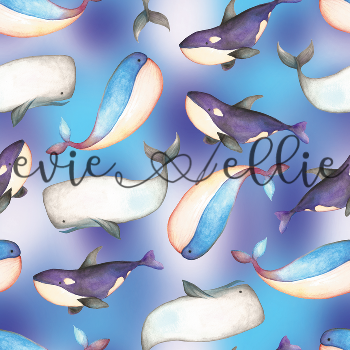 Whales - Multiple Colors
