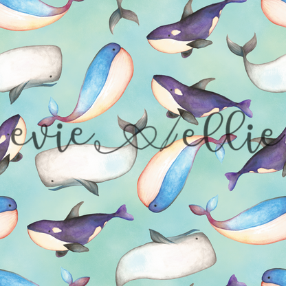 Whales - Multiple Colors