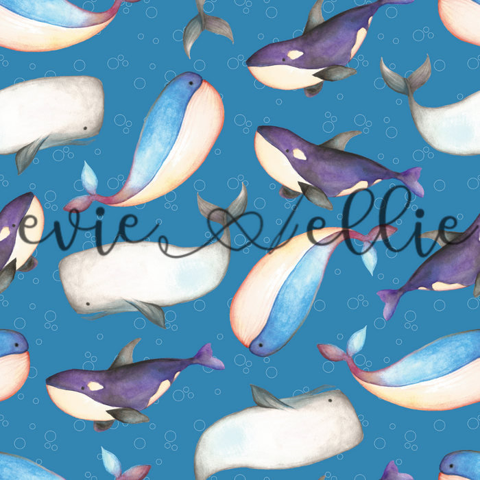 Whales - Multiple Colors