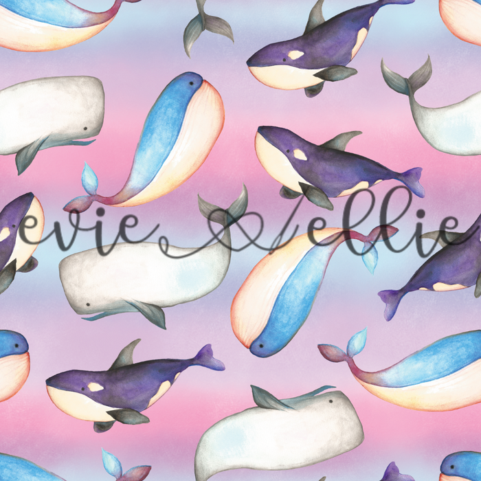 Whales - Multiple Colors